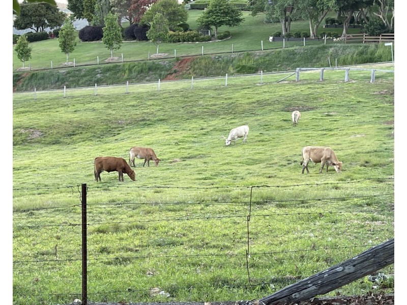 31 Gannon Street, Mount Mee QLD 4521