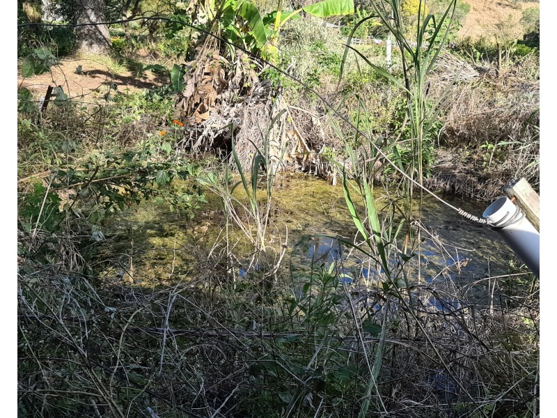 Mount Perry QLD 4671