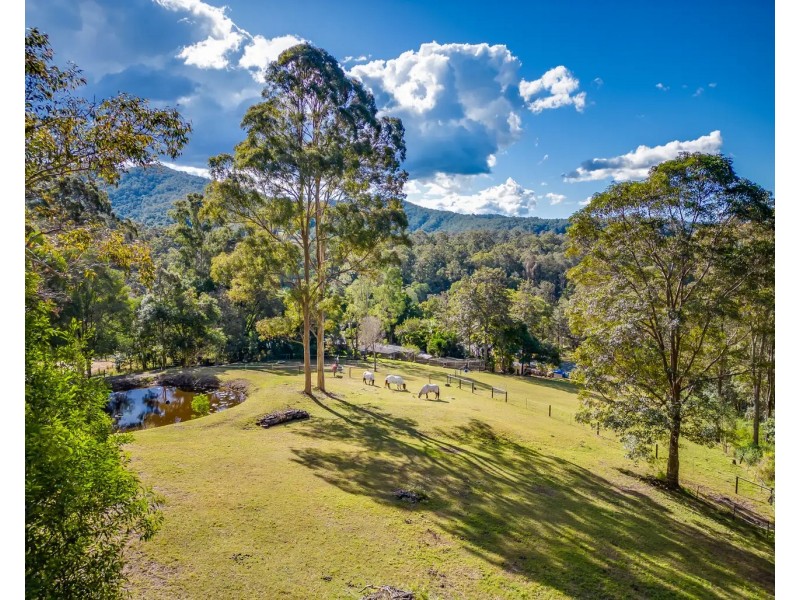 149 Whittings Road, Guanaba QLD 4210