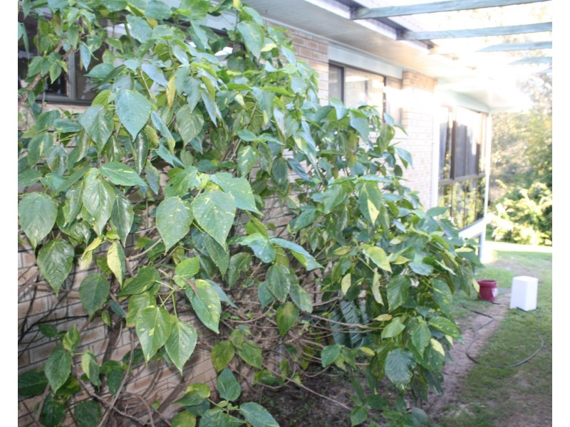 29 May st, Gin Gin QLD 4671