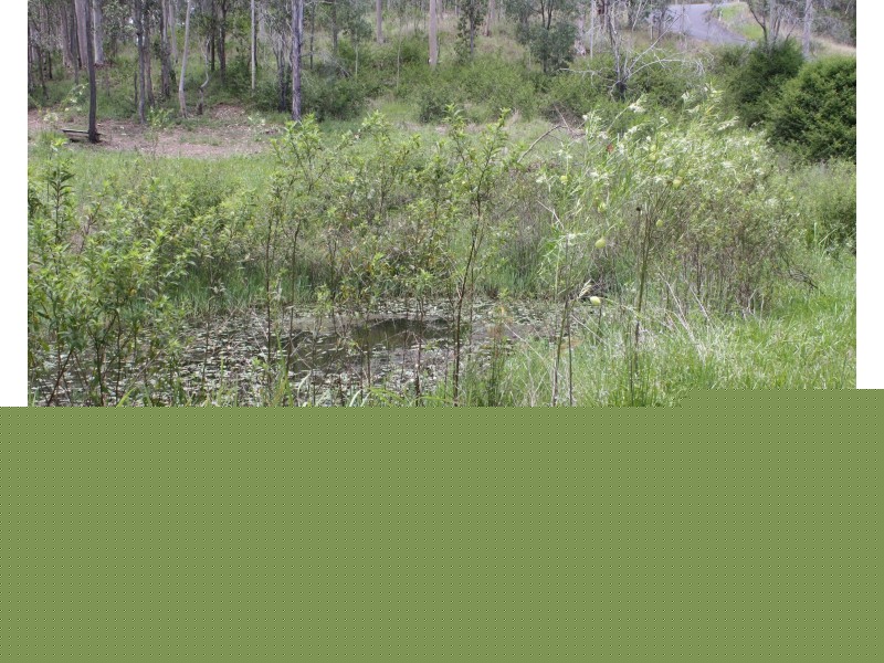 110 Friarbird Drive, Moolboolaman QLD 4671