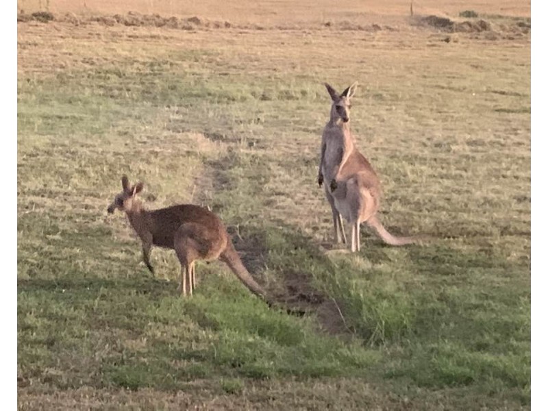 Lowood QLD 4311