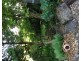 62 Macdonnell Road, Tamborine Mountain QLD 4272