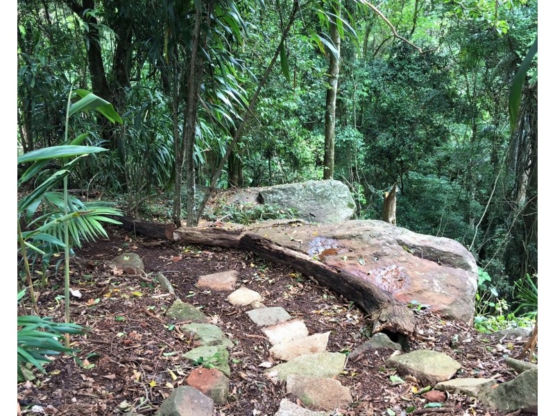 62 Macdonnell Road, Tamborine Mountain QLD 4272