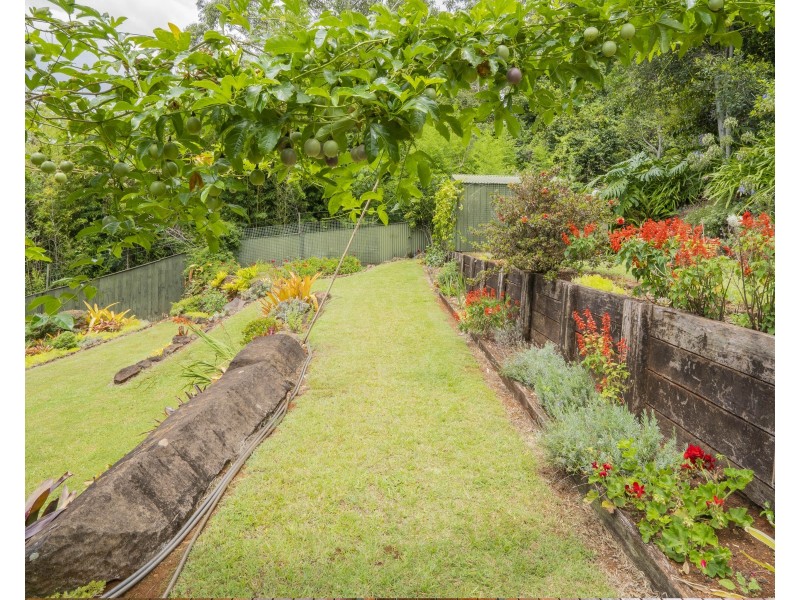 15 Ohia Court, Tamborine Mountain QLD 4272