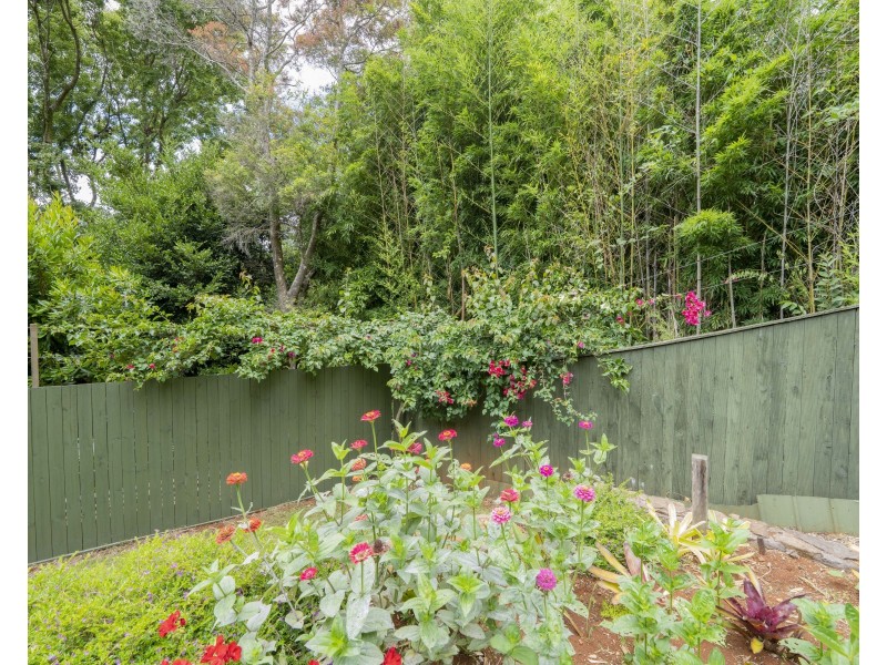 15 Ohia Court, Tamborine Mountain QLD 4272