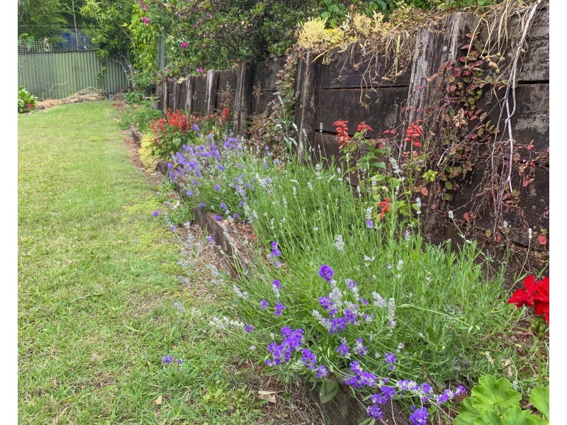 15 Ohia Court, Tamborine Mountain QLD 4272