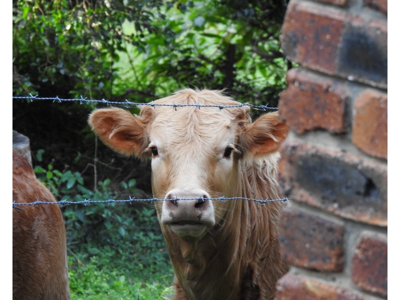 23 Gannon Street, Mount Mee QLD 4521