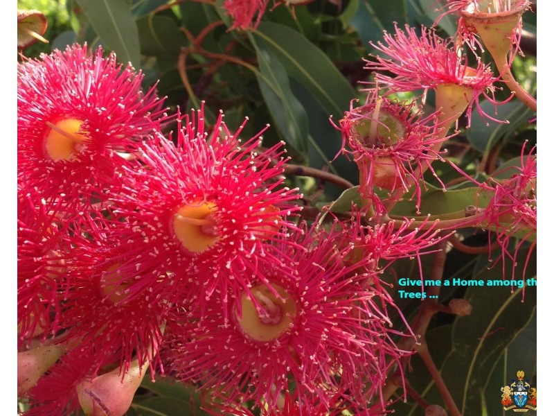 23 Gannon Street, Mount Mee QLD 4521