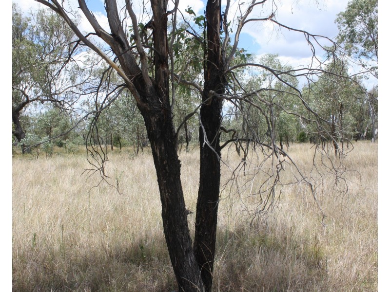 157 Malu rd, Malu QLD 4403