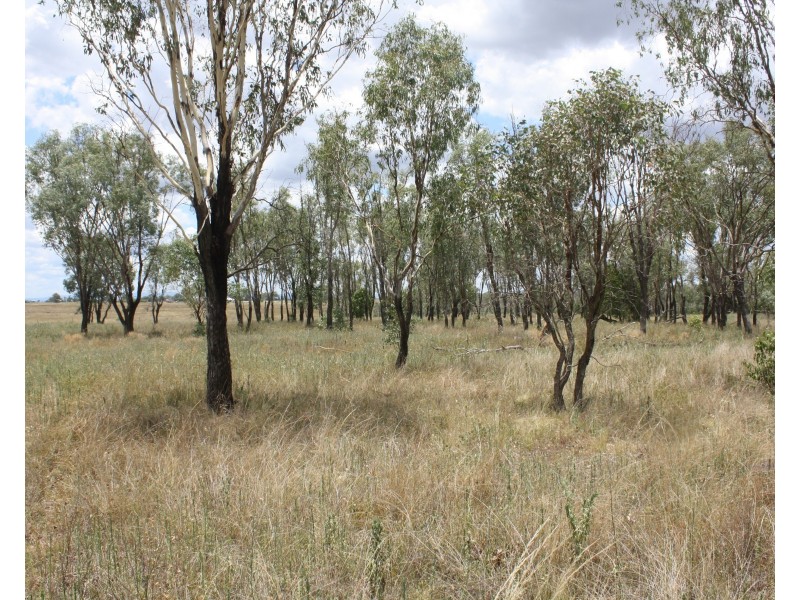 157 Malu rd, Malu QLD 4403