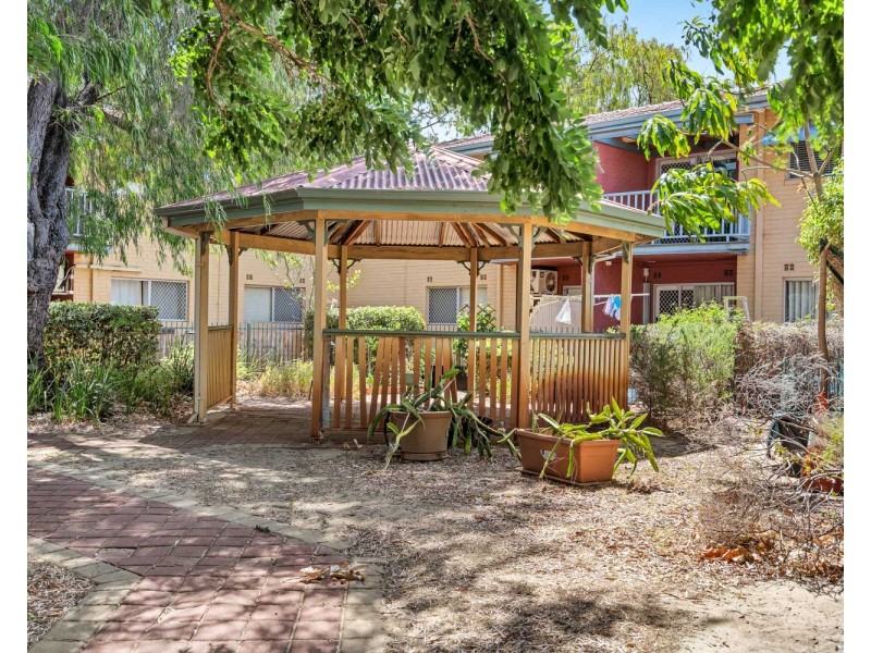 14/13 Dowling Place, Orelia WA 6167