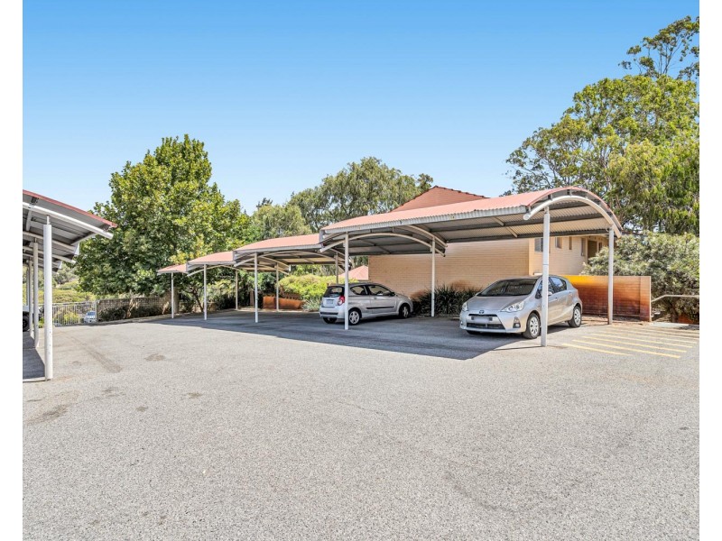 14/13 Dowling Place, Orelia WA 6167