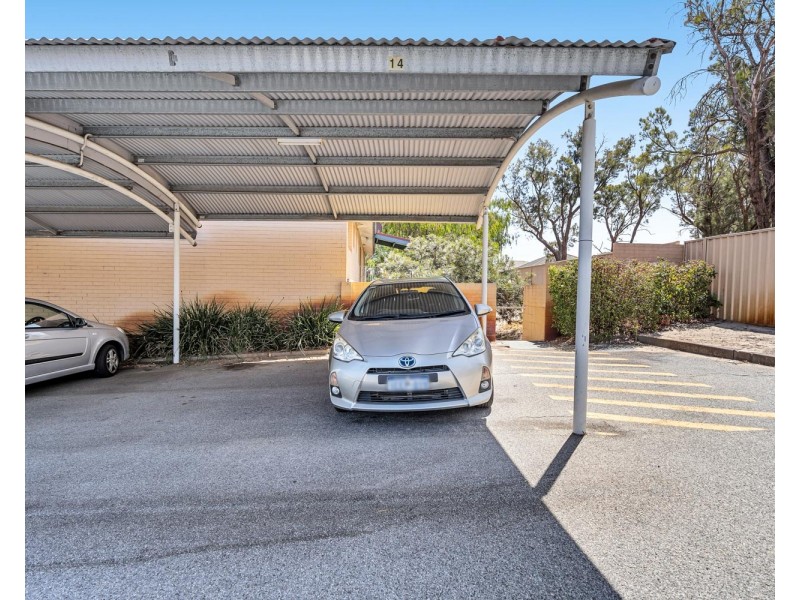 14/13 Dowling Place, Orelia WA 6167