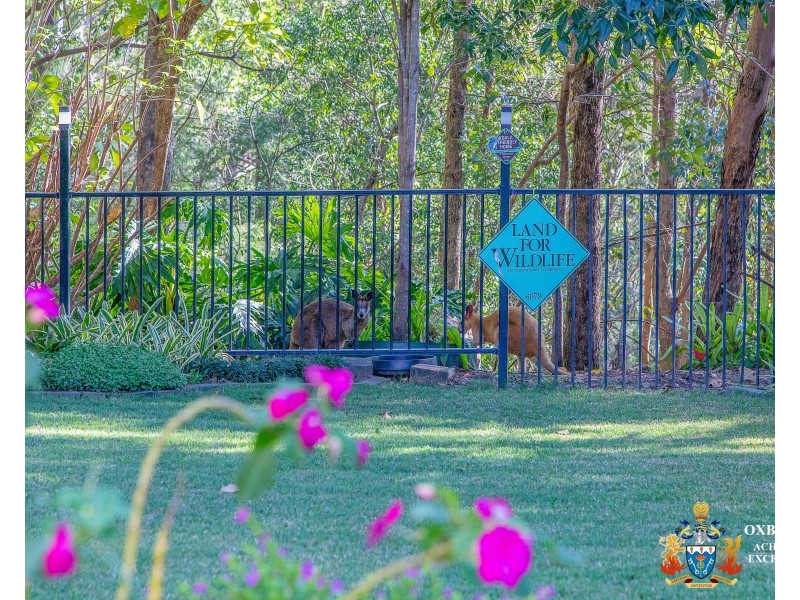 36-38 Buckingham Way, Elanora QLD 4221