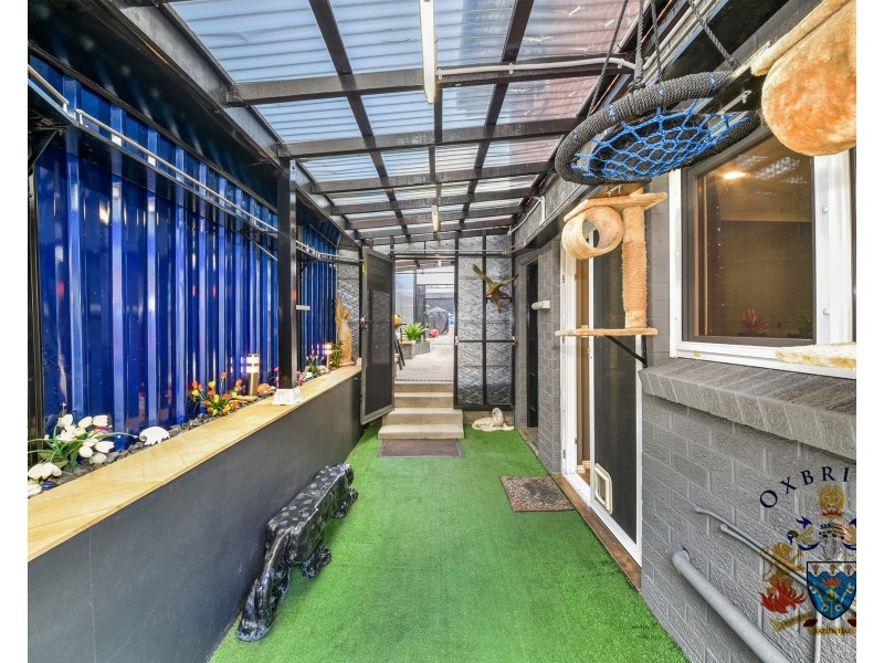 53 John Miller Street, Ryde NSW 2112