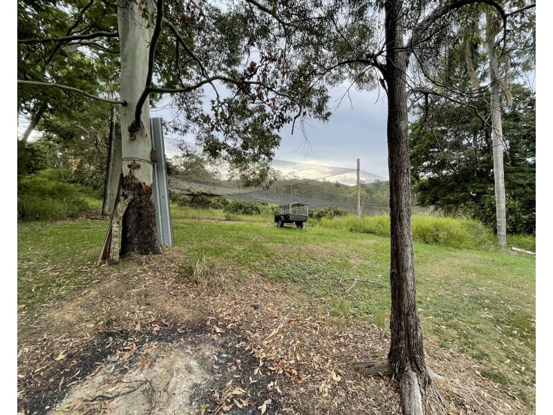 351 Campbells Pocket Road, Wamuran Basin QLD 4512