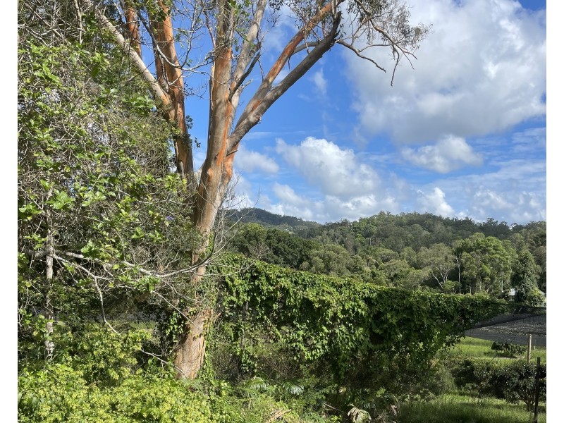 351 Campbells Pocket Road, Wamuran Basin QLD 4512