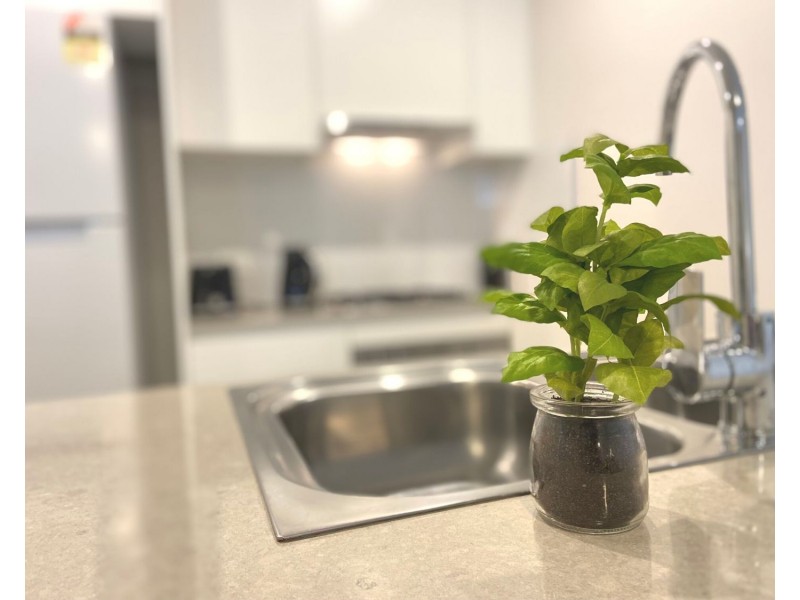 Level 2A/192 Stacey Street, Bankstown NSW 2200
