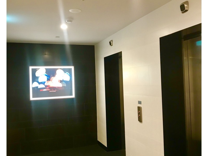 1004/28 Wolseley Street, Woolloongabba QLD 4102