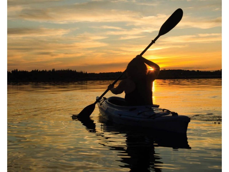 Varsity Lakes QLD 4227