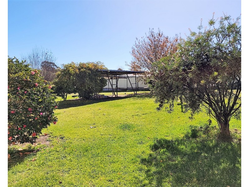 374 Rouse Street, Tenterfield NSW 2372
