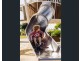 Palmview QLD 4553