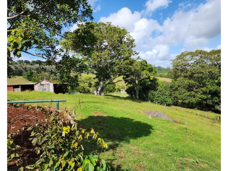 805 Coolamon Scenic Drive, Coorabell NSW 2479