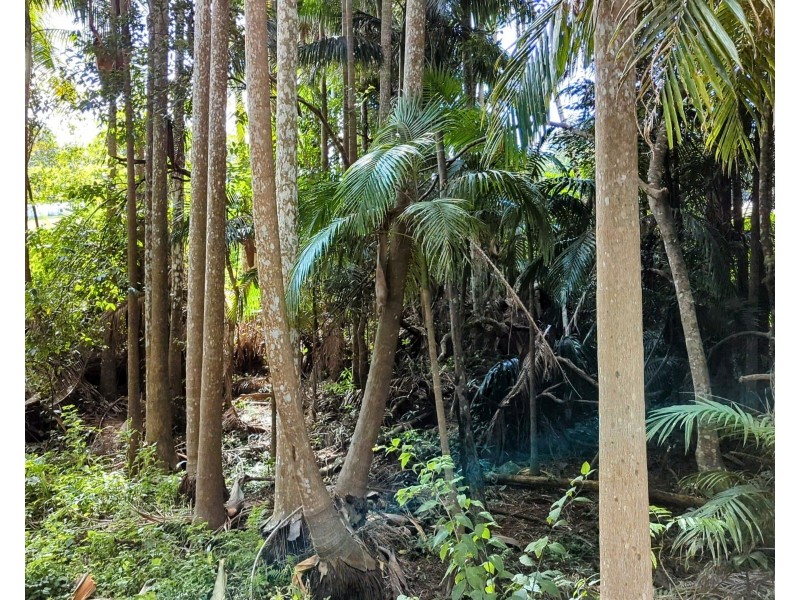 24-34 Macdonnell Road, Tamborine Mountain QLD 4272