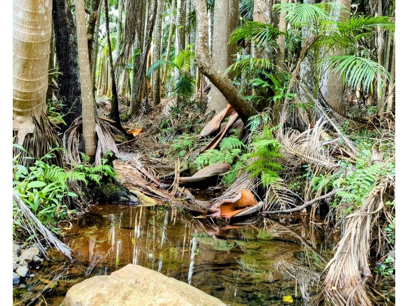 24-34 Macdonnell Road, Tamborine Mountain QLD 4272