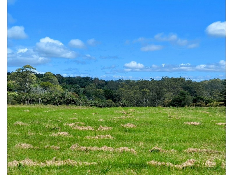 24-34 Macdonnell Road, Tamborine Mountain QLD 4272