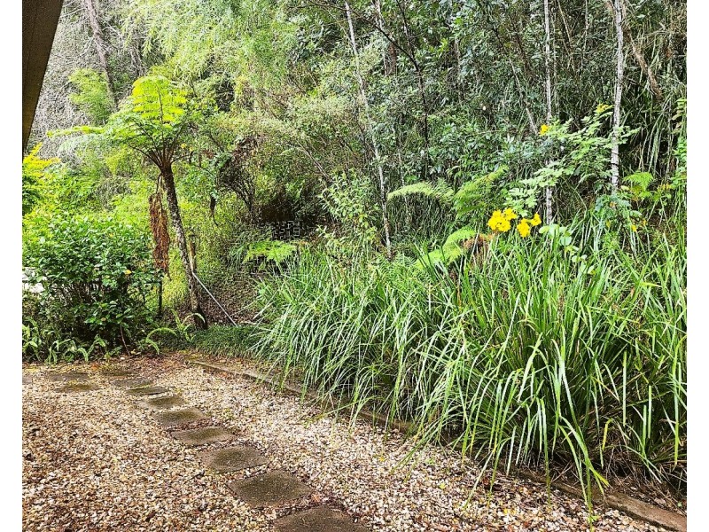 2/17 McPherson Court, Murwillumbah NSW 2484