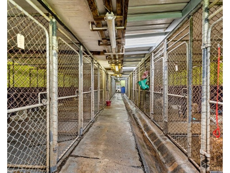 975 Chambers Flat Road, Chambers Flat QLD 4133