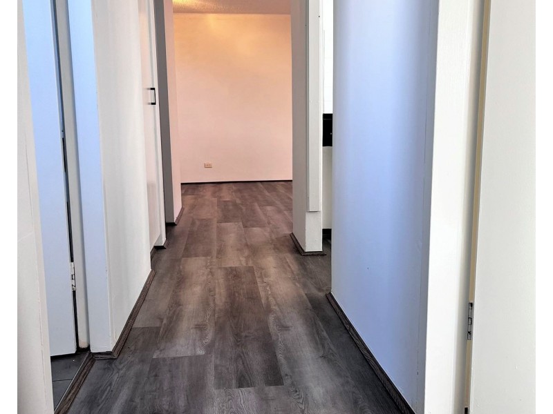 6/52 Oaks Avenue, Dee Why NSW 2099