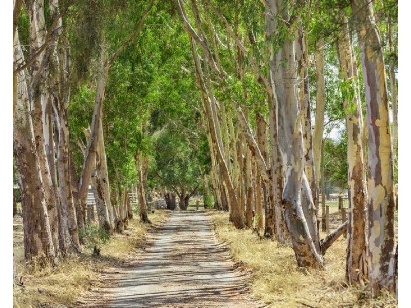 35 Malek Drive, Mardella WA 6125