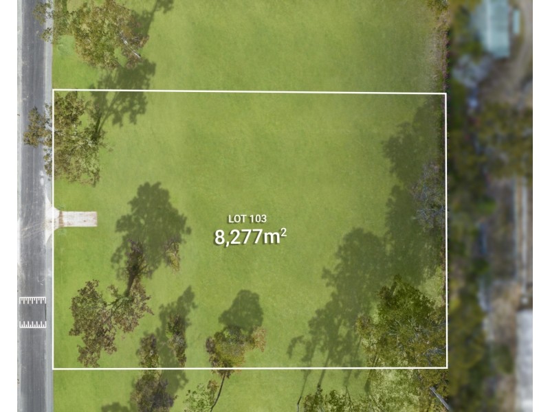 164 Missouri Street, Jimboomba QLD 4280