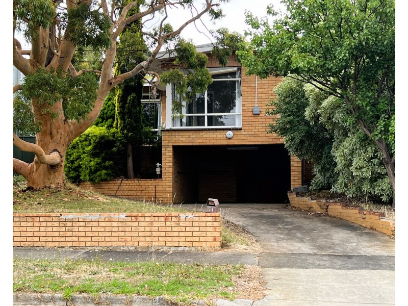 41 Iona Avenue, Belmont VIC 3216