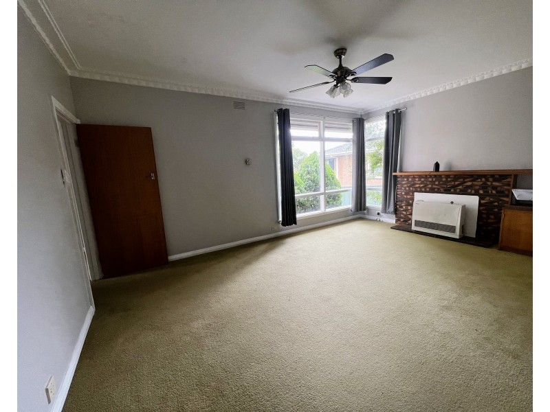 41 Iona Avenue, Belmont VIC 3216