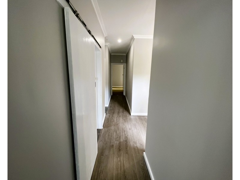 41 Iona Avenue, Belmont VIC 3216