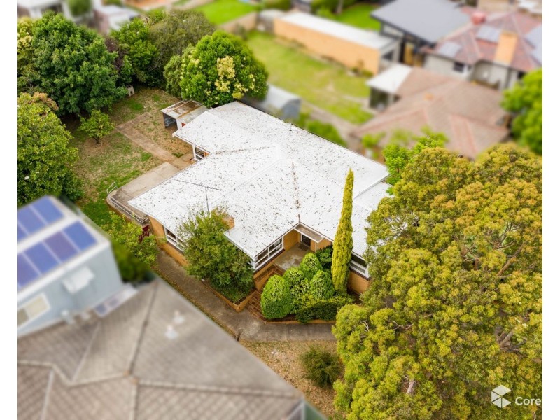 41 Iona Avenue, Belmont VIC 3216
