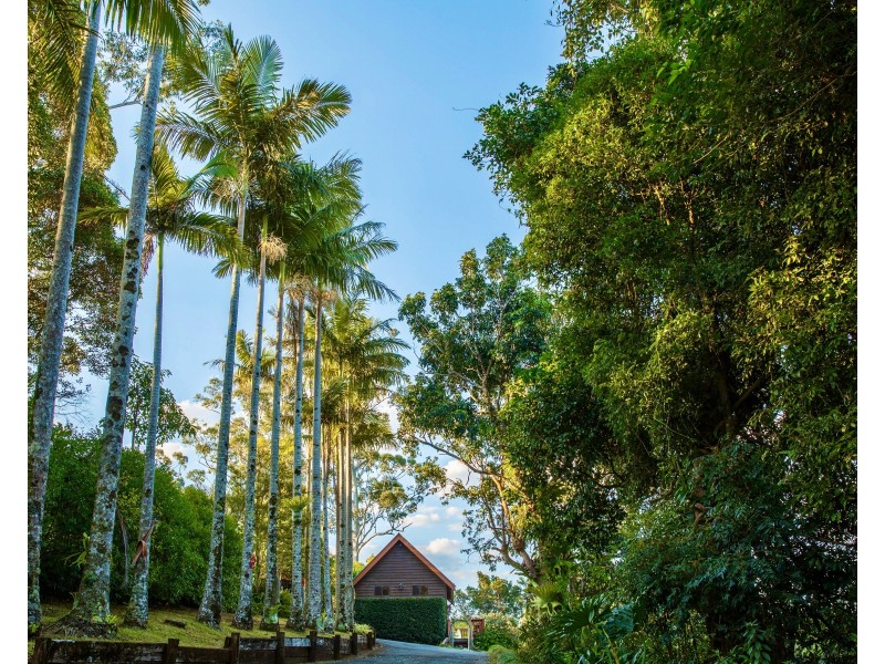 83 Bateke Road, Tamborine Mountain QLD 4272