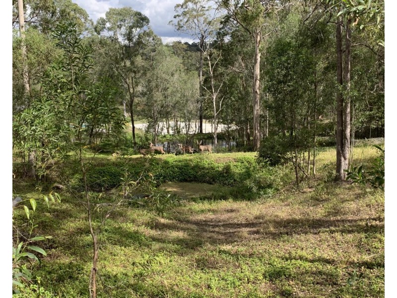 Nerang QLD 4211