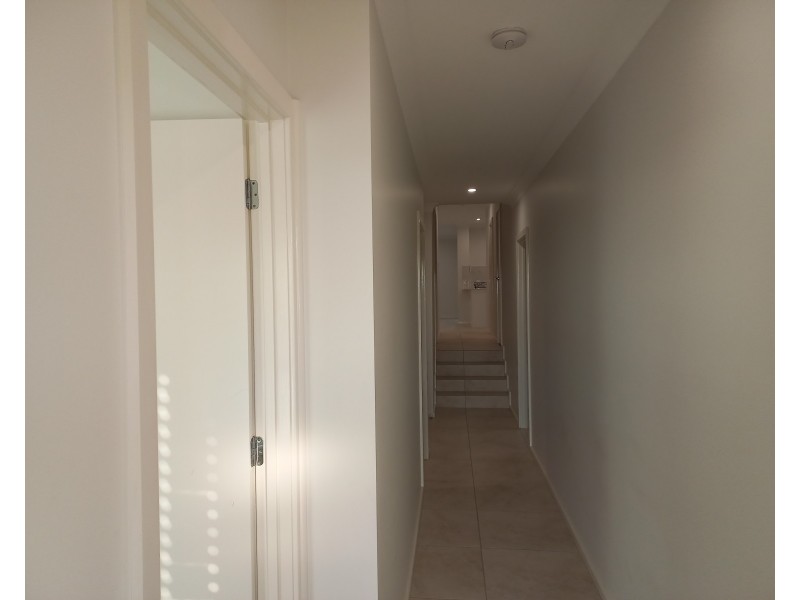 164 Mustang Avenue, Box Hill NSW 2765