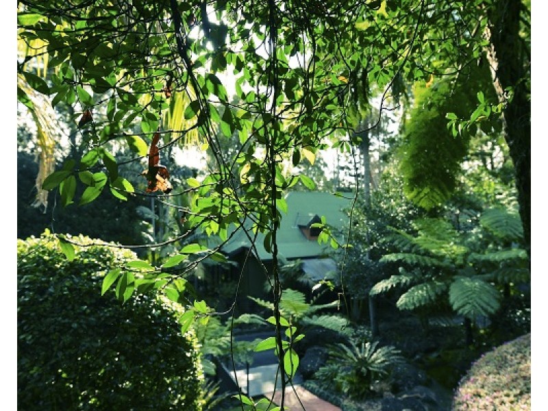 123-133 Alpine Terrace, Tamborine Mountain QLD 4272