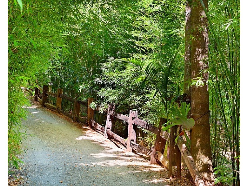 123-133 Alpine Terrace, Tamborine Mountain QLD 4272