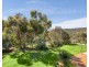 43 Throssell Road, Swan View WA 6056