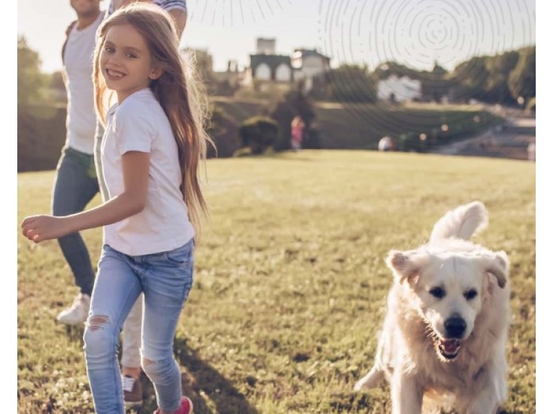 Ormeau Hills QLD 4208