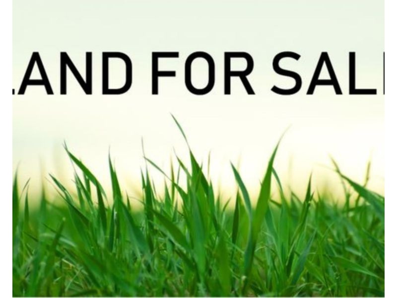 43 Harvey Way, South Ripley QLD 4306