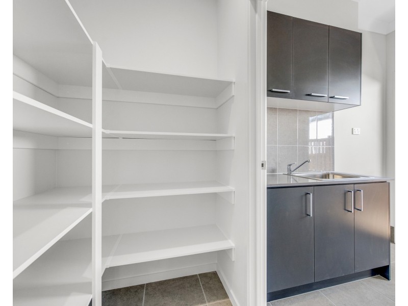 39 Kingfisher Street, Springfield QLD 4300