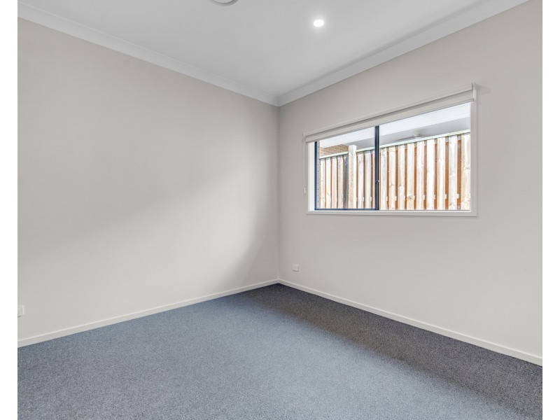 39 Kingfisher Street, Springfield QLD 4300